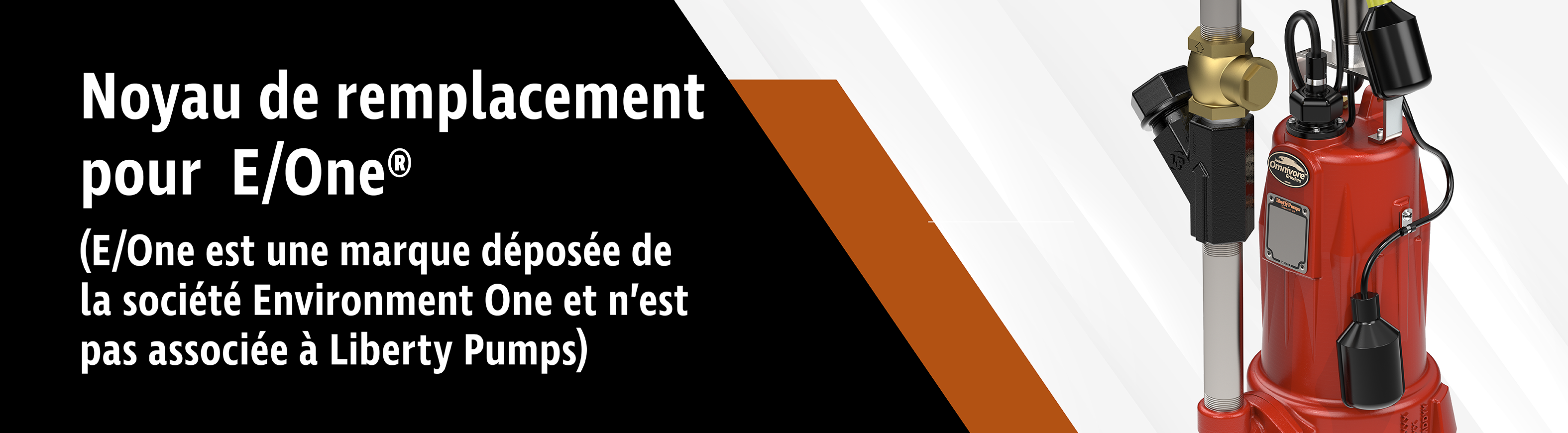 LSG202-RE-Header_FR-01.png
